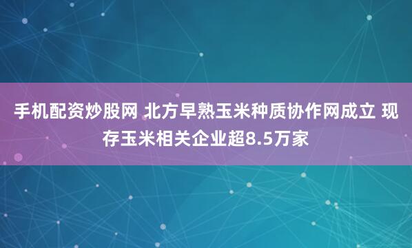 手机配资炒股网 北方早熟玉米种质协作网成立 现存玉米相关企业超8.5万家