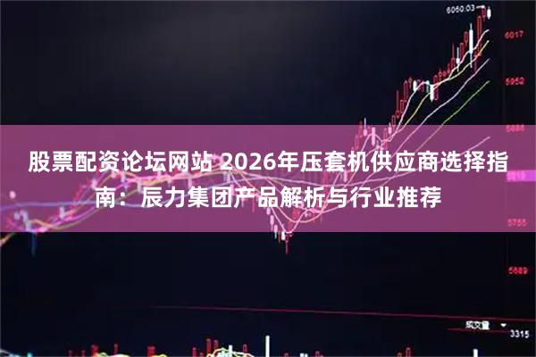 股票配资论坛网站 2026年压套机供应商选择指南：辰力集团产品解析与行业推荐
