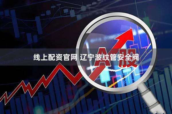线上配资官网 辽宁波纹管安全阀