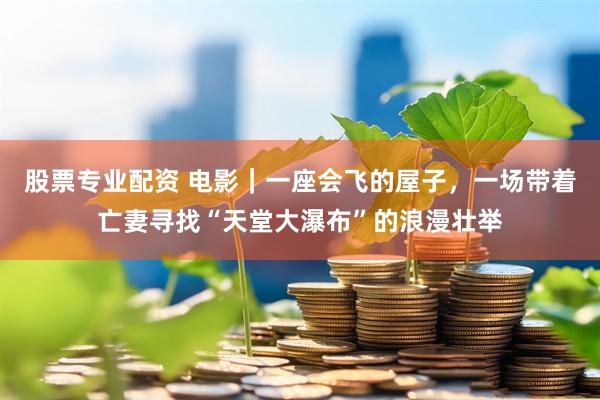股票专业配资 电影｜一座会飞的屋子，一场带着亡妻寻找“天堂大瀑布”的浪漫壮举