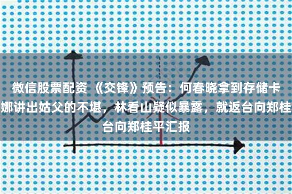 微信股票配资 《交锋》预告：何春晓拿到存储卡，金丽娜讲出姑父的不堪，林看山疑似暴露，就返台向郑桂平汇报